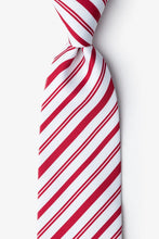 Load image into Gallery viewer, Wild Neckties
